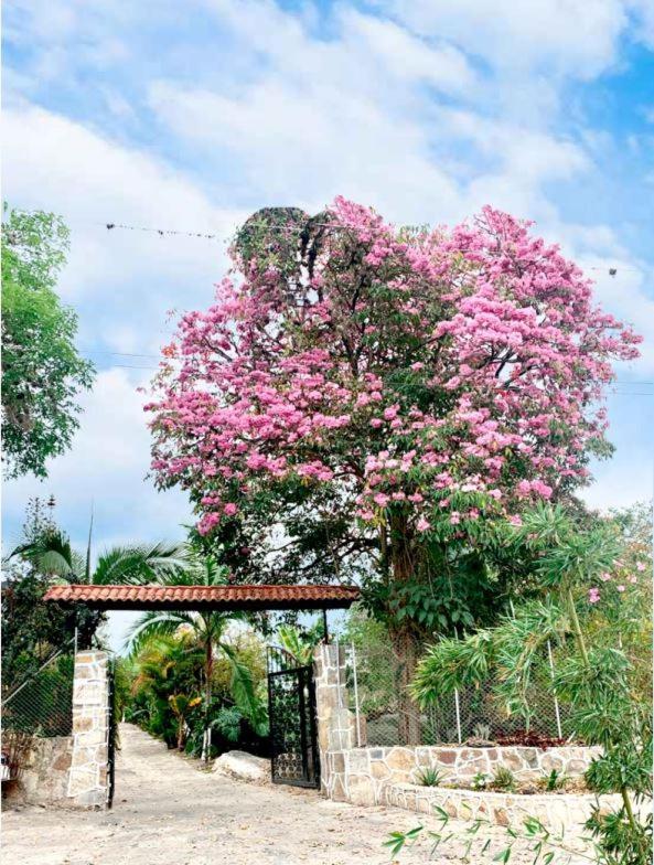 Finca Villa Jilito Arbelaez ภายนอก รูปภาพ